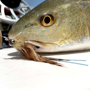 Freeport Fiddler - Sight Cast – Beast Brushes Inc