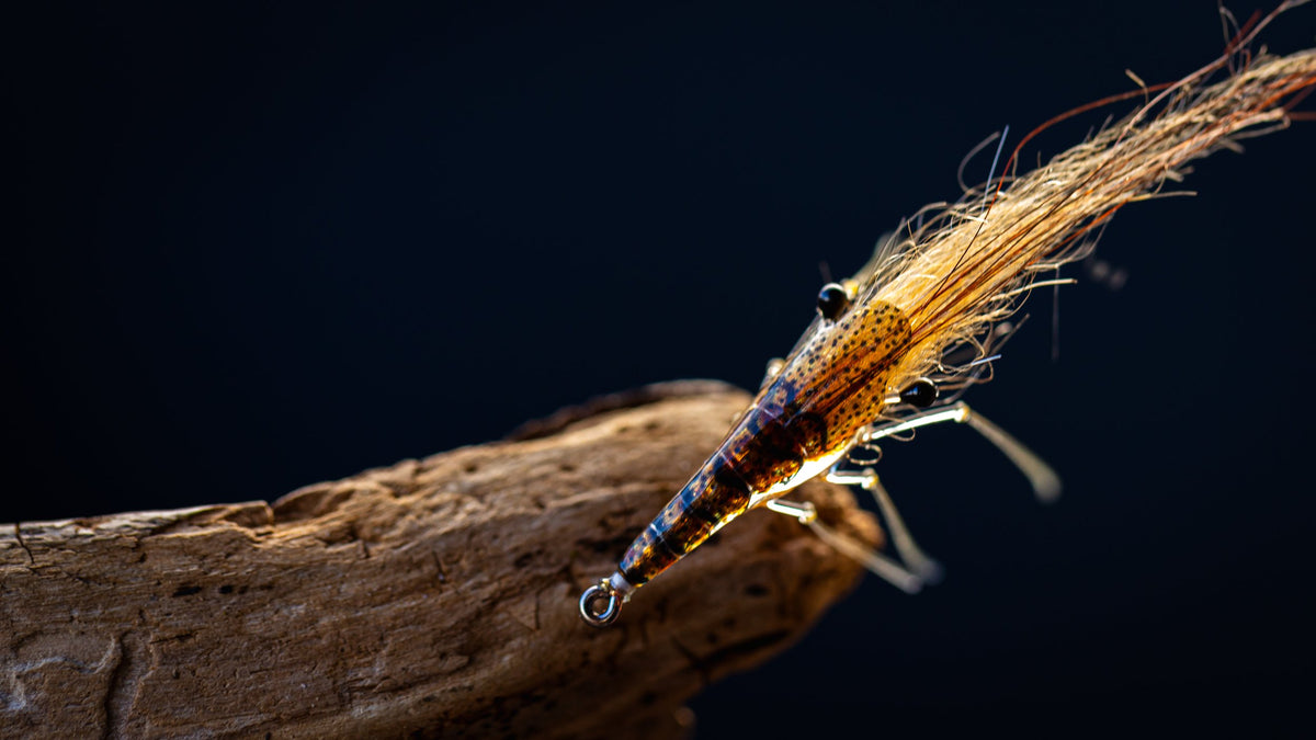 Pro Sportfisher Shrimp Shells WOE – Beast Brushes Inc
